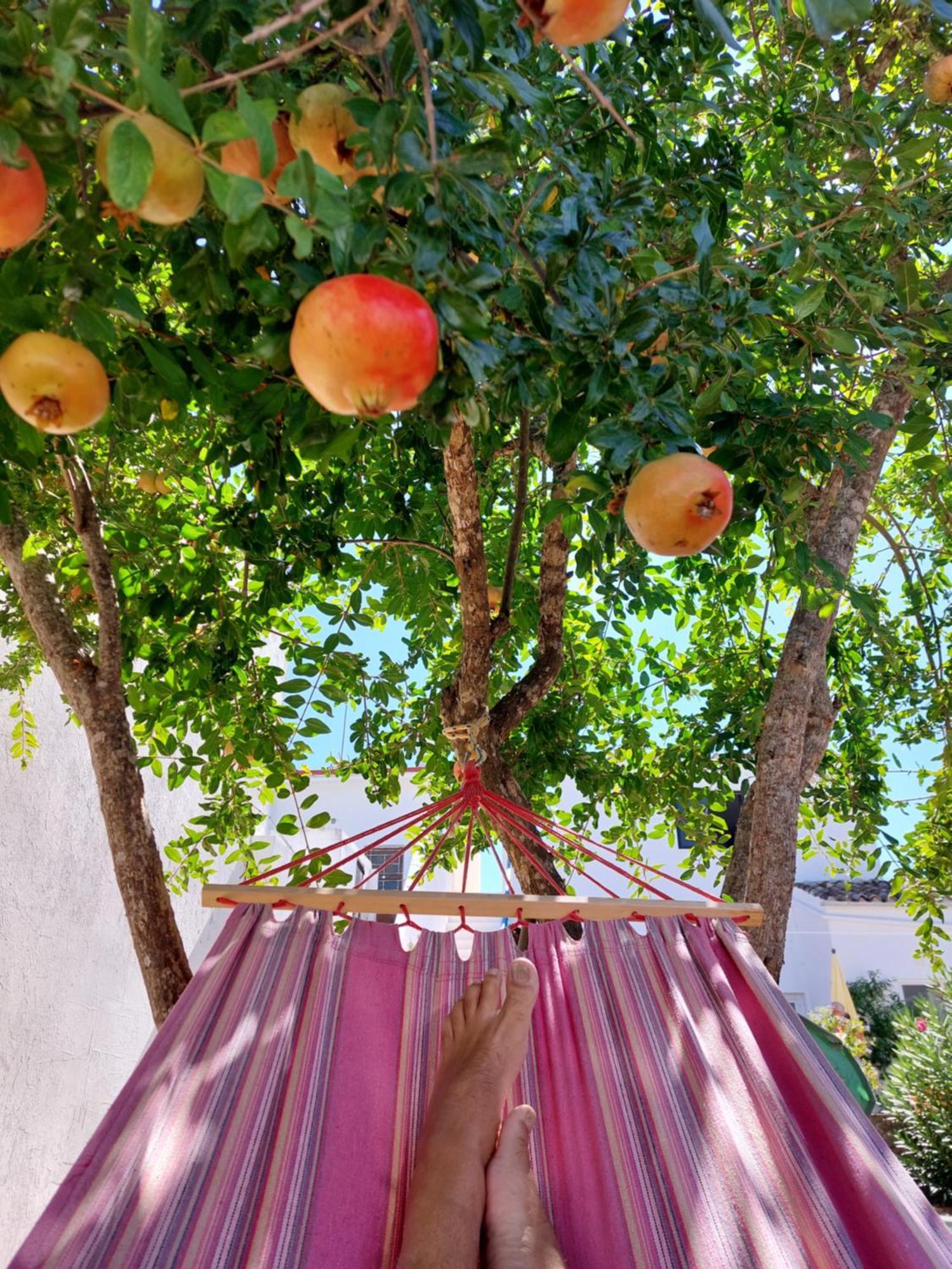"Casa Oliveiras" Studio Avec Terrasse Et Piscine Loulé Exterior foto